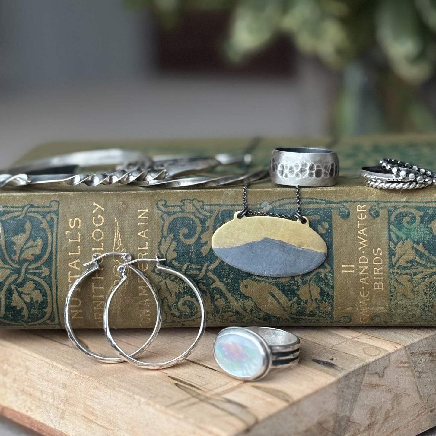 A Custom Palladium and Pink Sapphire Ring is showcased alongside other silver and metal jewelry, all arranged on and before a vintage hardcover book titled "British Trilogy: Game and Water Birds.
